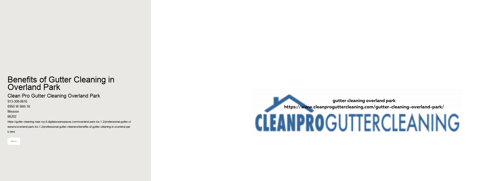 Benefits of Gutter Cleaning in Overland Park 