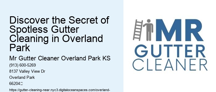 Discover the Secret of Spotless Gutter Cleaning in Overland Park