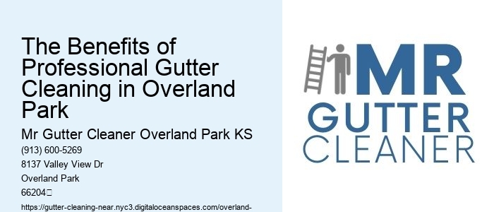 The Benefits of Professional Gutter Cleaning in Overland Park 