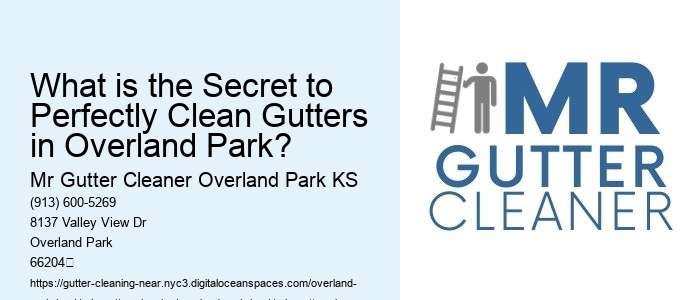 What is the Secret to Perfectly Clean Gutters in Overland Park? 