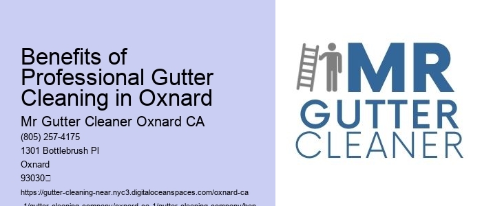 Benefits of Professional Gutter Cleaning in Oxnard 