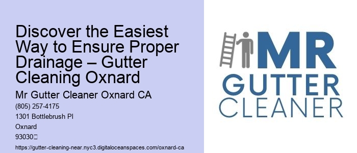 Discover the Easiest Way to Ensure Proper Drainage – Gutter Cleaning Oxnard