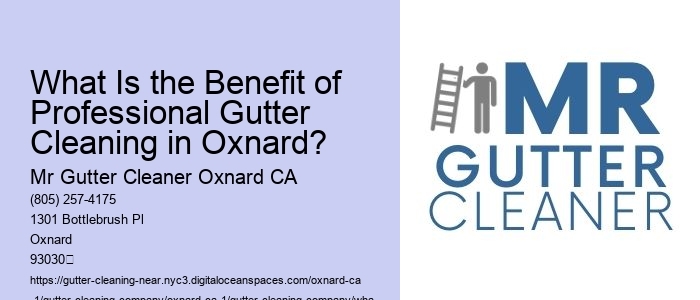 What Is the Benefit of Professional Gutter Cleaning in Oxnard?