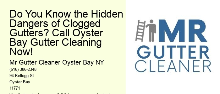 Do You Know the Hidden Dangers of Clogged Gutters? Call Oyster Bay Gutter Cleaning Now!