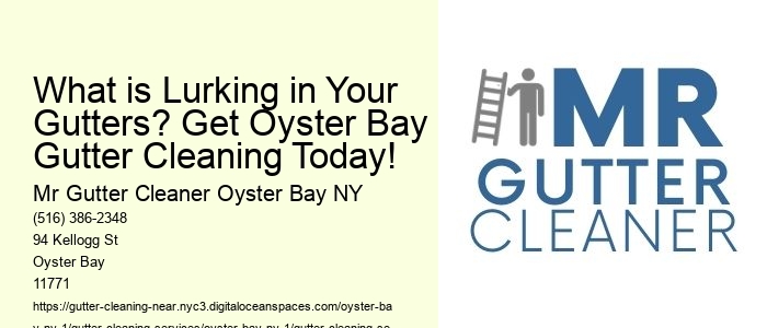 What is Lurking in Your Gutters? Get Oyster Bay Gutter Cleaning Today!