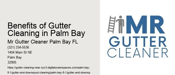 Benefits of Gutter Cleaning in Palm Bay 