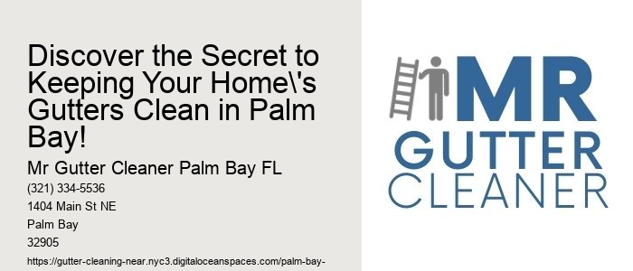 Discover the Secret to Keeping Your Home's Gutters Clean in Palm Bay!