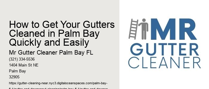 How to Get Your Gutters Cleaned in Palm Bay Quickly and Easily 