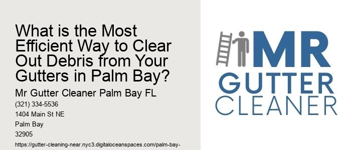 What is the Most Efficient Way to Clear Out Debris from Your Gutters in Palm Bay?