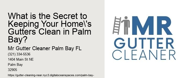 What is the Secret to Keeping Your Home's Gutters Clean in Palm Bay? 