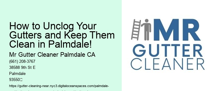 How to Unclog Your Gutters and Keep Them Clean in Palmdale!