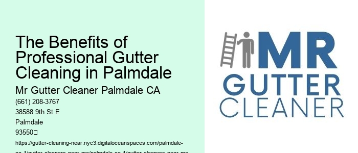 The Benefits of Professional Gutter Cleaning in Palmdale 