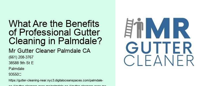 What Are the Benefits of Professional Gutter Cleaning in Palmdale?