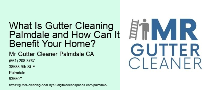 What Is Gutter Cleaning Palmdale and How Can It Benefit Your Home? 