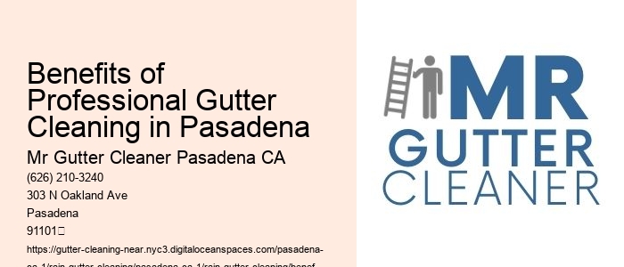 Benefits of Professional Gutter Cleaning in Pasadena 