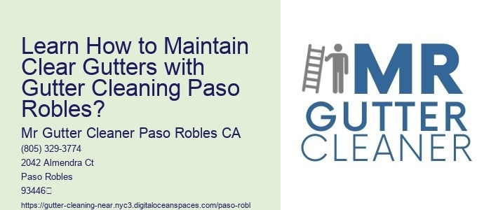 Learn How to Maintain Clear Gutters with Gutter Cleaning Paso Robles?