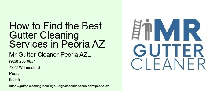 How to Find the Best Gutter Cleaning Services in Peoria AZ 