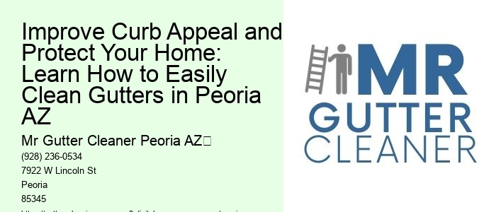 Improve Curb Appeal and Protect Your Home: Learn How to Easily Clean Gutters in Peoria AZ