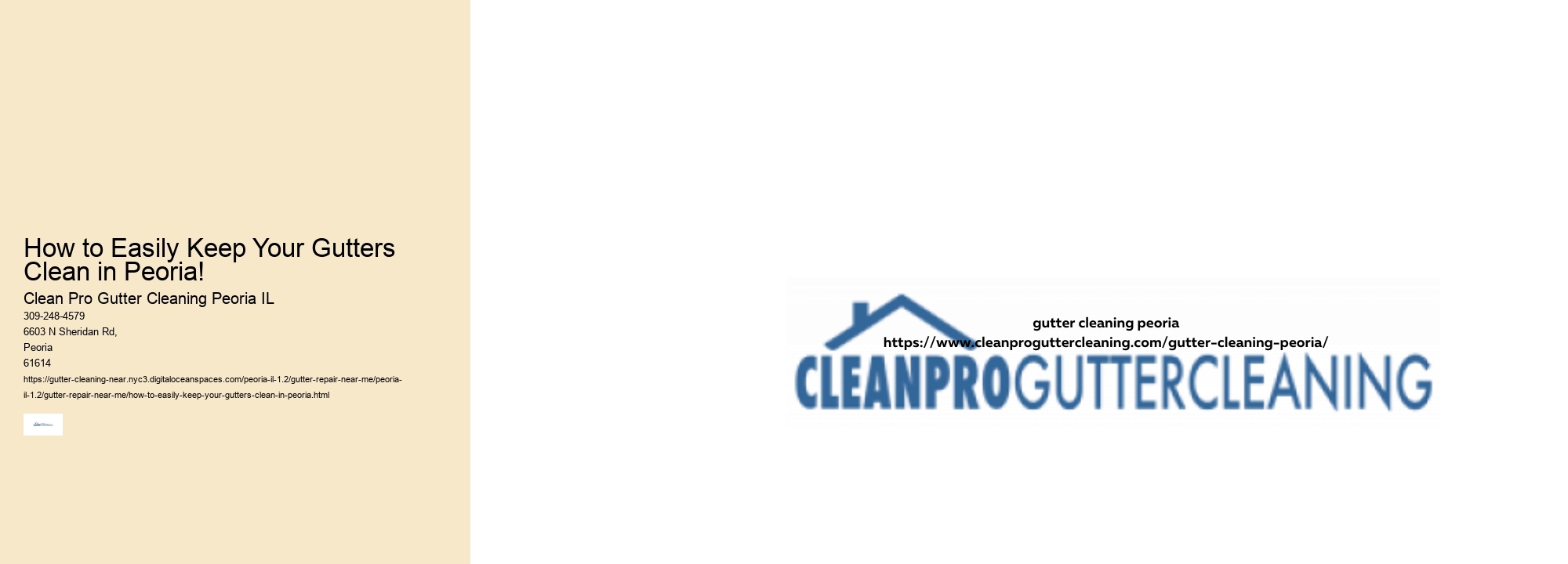 How to Easily Keep Your Gutters Clean in Peoria! 