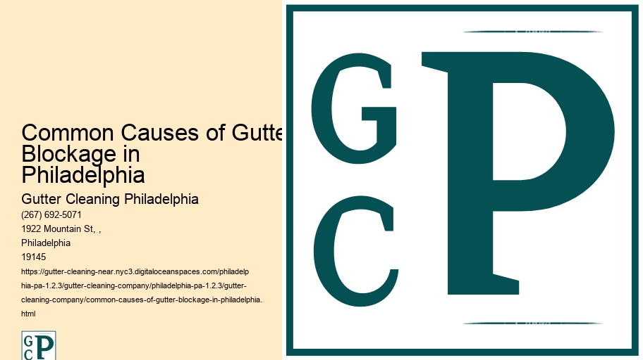 Common Causes of Gutter Blockage in Philadelphia