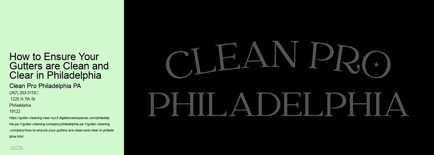 How to Ensure Your Gutters are Clean and Clear in Philadelphia 