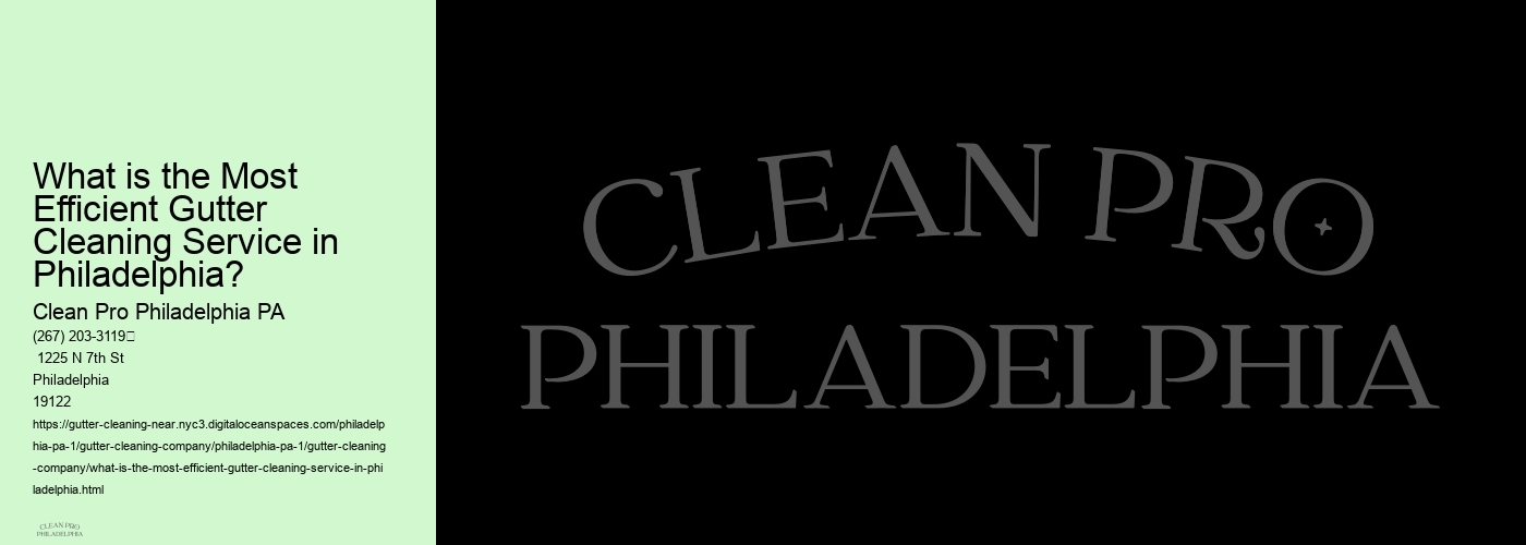 What is the Most Efficient Gutter Cleaning Service in Philadelphia? 