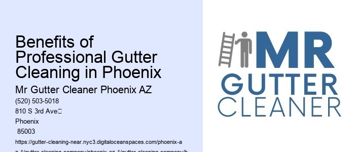 Benefits of Professional Gutter Cleaning in Phoenix 