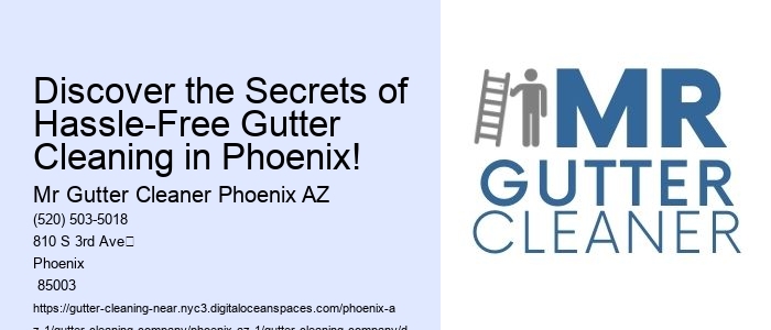 Discover the Secrets of Hassle-Free Gutter Cleaning in Phoenix!