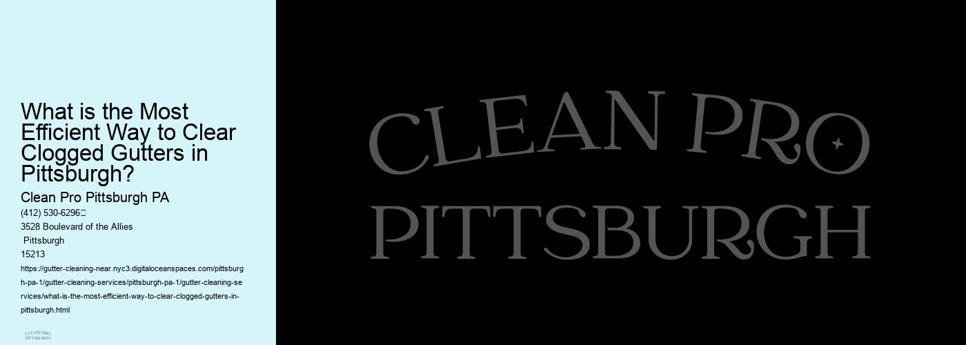 What is the Most Efficient Way to Clear Clogged Gutters in Pittsburgh? 