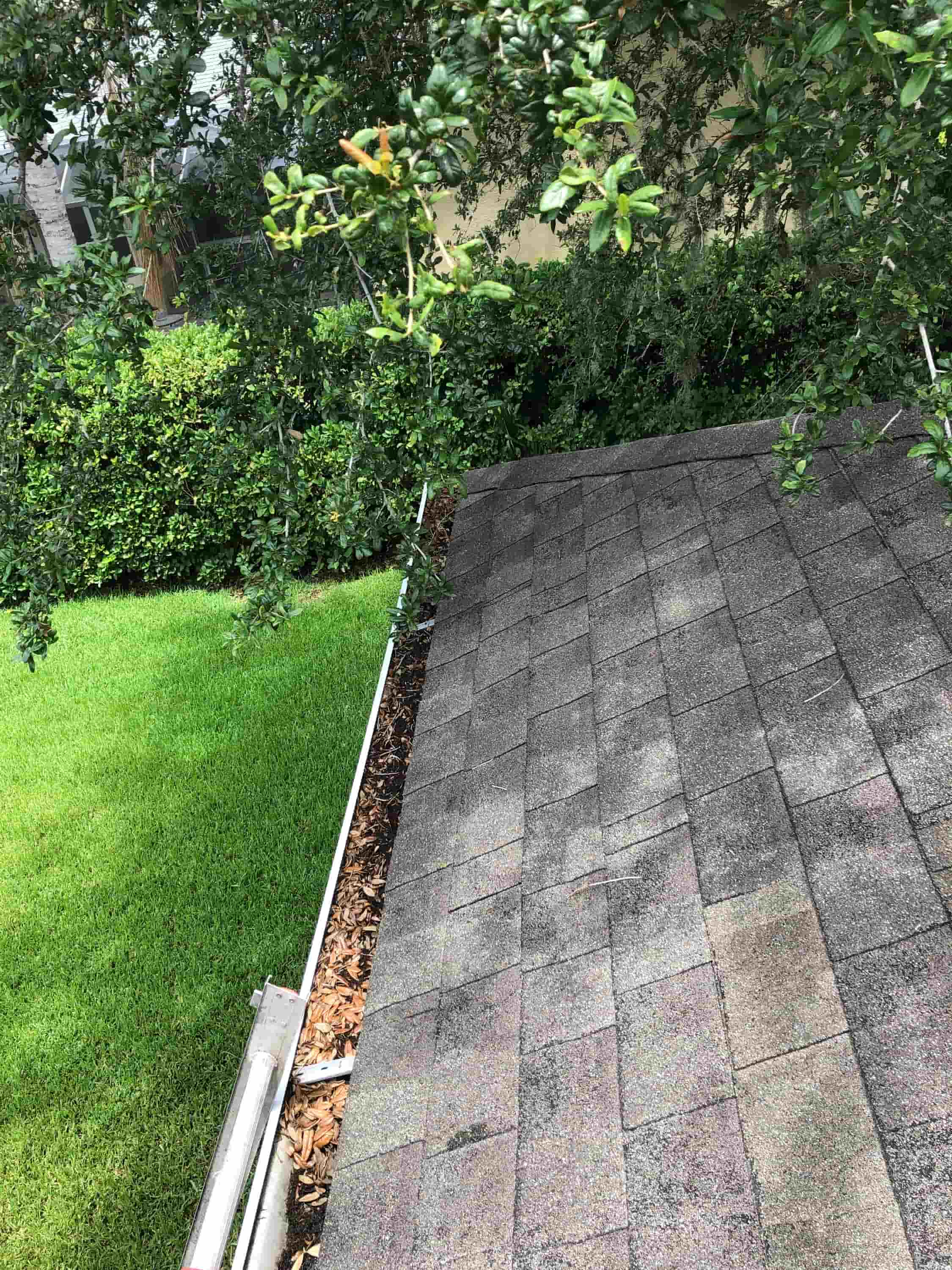 Benefits of Regular Gutter Cleaning in Pleasanton