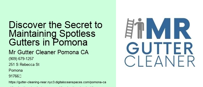 Discover the Secret to Maintaining Spotless Gutters in Pomona