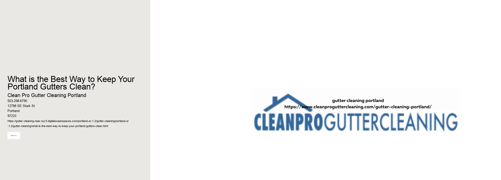 What is the Best Way to Keep Your Portland Gutters Clean?
