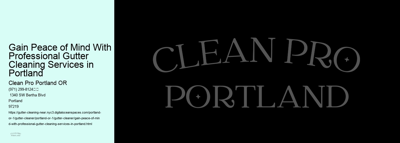 Gain Peace of Mind With Professional Gutter Cleaning Services in Portland 