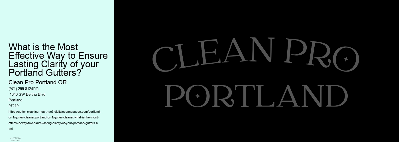 What is the Most Effective Way to Ensure Lasting Clarity of your Portland Gutters?