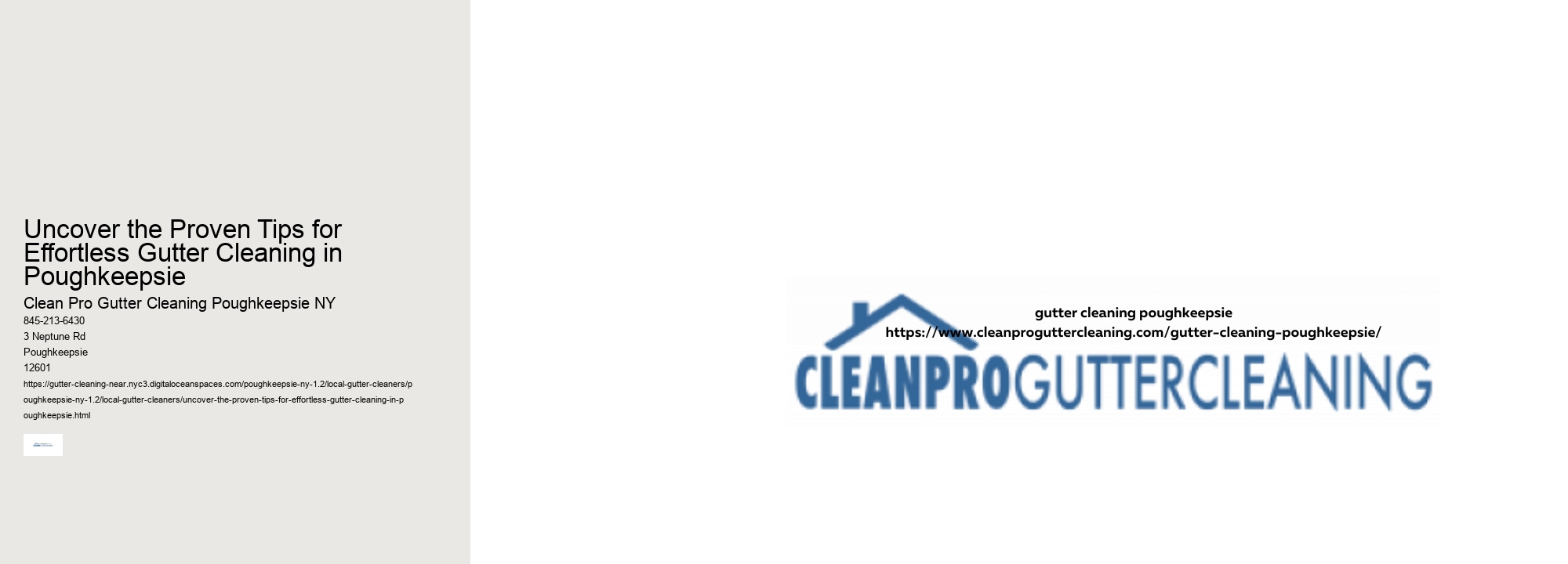 Uncover the Proven Tips for Effortless Gutter Cleaning in Poughkeepsie