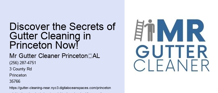 Discover the Secrets of Gutter Cleaning in Princeton Now!