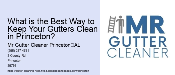 What is the Best Way to Keep Your Gutters Clean in Princeton?