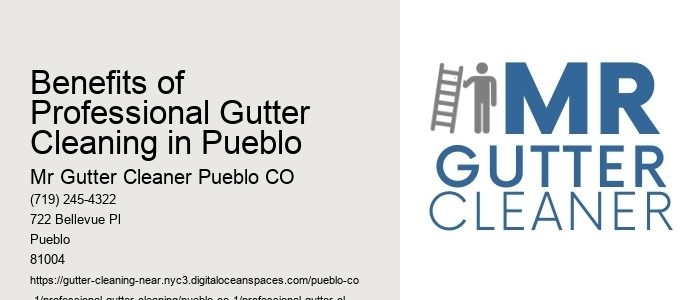 Benefits of Professional Gutter Cleaning in Pueblo