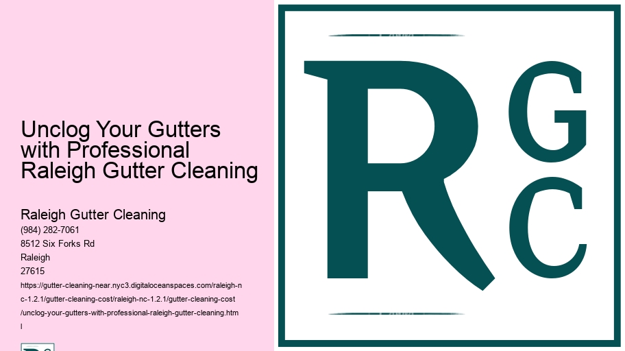 Unclog Your Gutters with Professional Raleigh Gutter Cleaning 