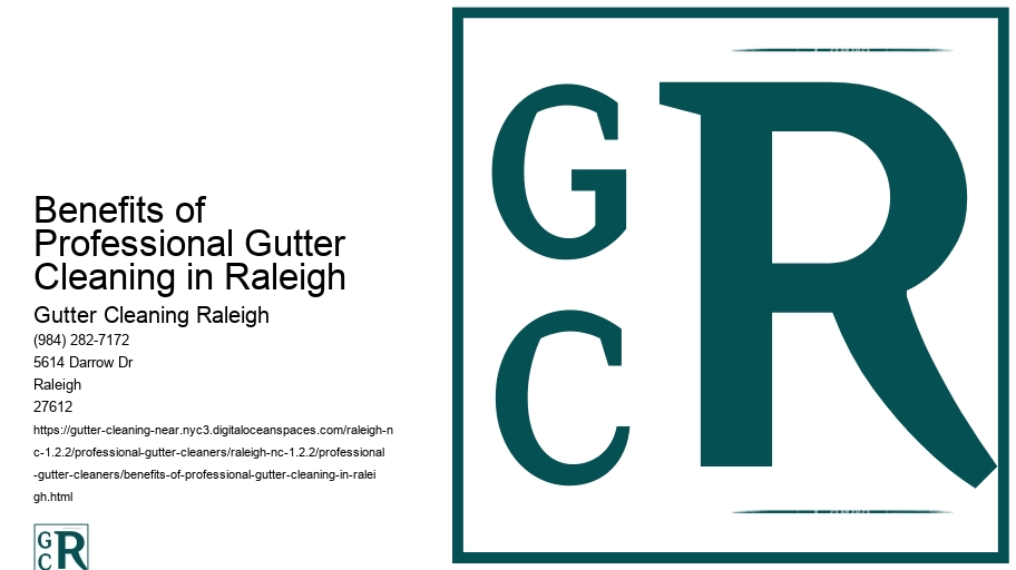 Benefits of Professional Gutter Cleaning in Raleigh