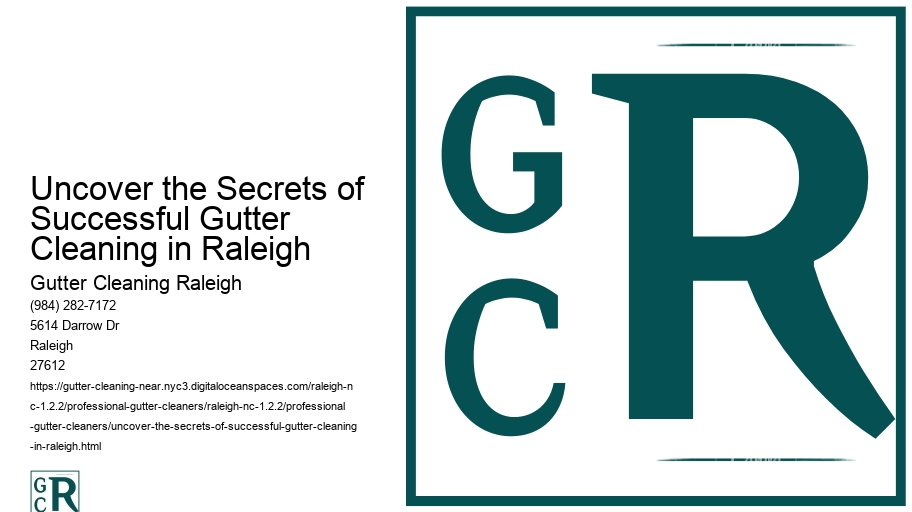 Uncover the Secrets of Successful Gutter Cleaning in Raleigh