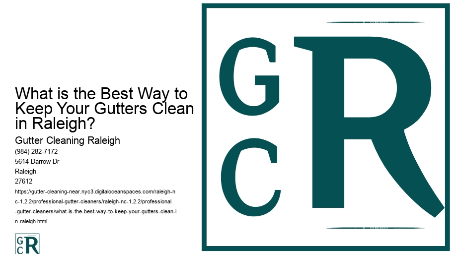 What is the Best Way to Keep Your Gutters Clean in Raleigh? 