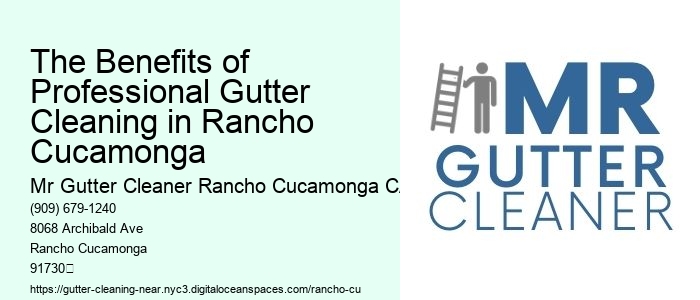 The Benefits of Professional Gutter Cleaning in Rancho Cucamonga 