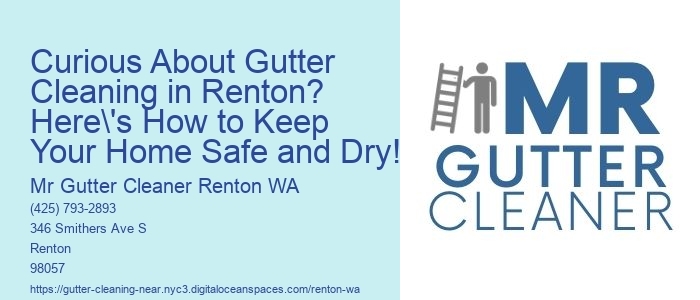 Curious About Gutter Cleaning in Renton? Here's How to Keep Your Home Safe and Dry!