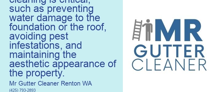 The Importance of Gutter Cleaning: This topic could cover the reasons why gutter cleaning is critical, such as preventing water damage to the foundation or the roof, avoiding pest infestations, and maintaining the aesthetic appearance of the property.