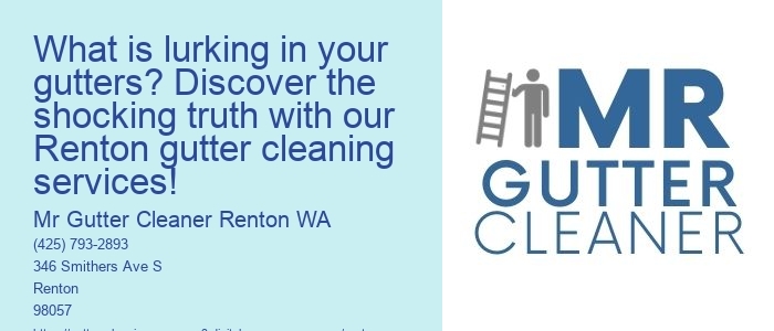 What is lurking in your gutters? Discover the shocking truth with our Renton gutter cleaning services!