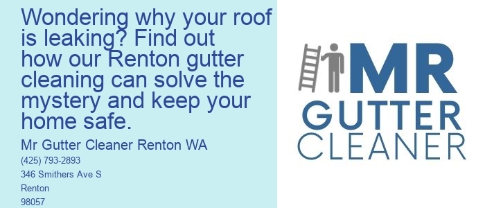 Wondering why your roof is leaking? Find out how our Renton gutter cleaning can solve the mystery and keep your home safe.