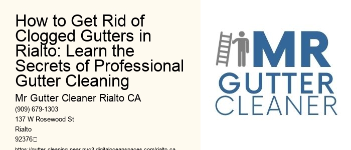 How to Get Rid of Clogged Gutters in Rialto: Learn the Secrets of Professional Gutter Cleaning 