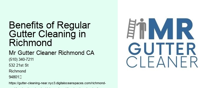 Benefits of Regular Gutter Cleaning in Richmond 