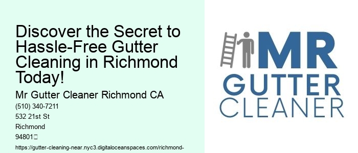 Discover the Secret to Hassle-Free Gutter Cleaning in Richmond Today!